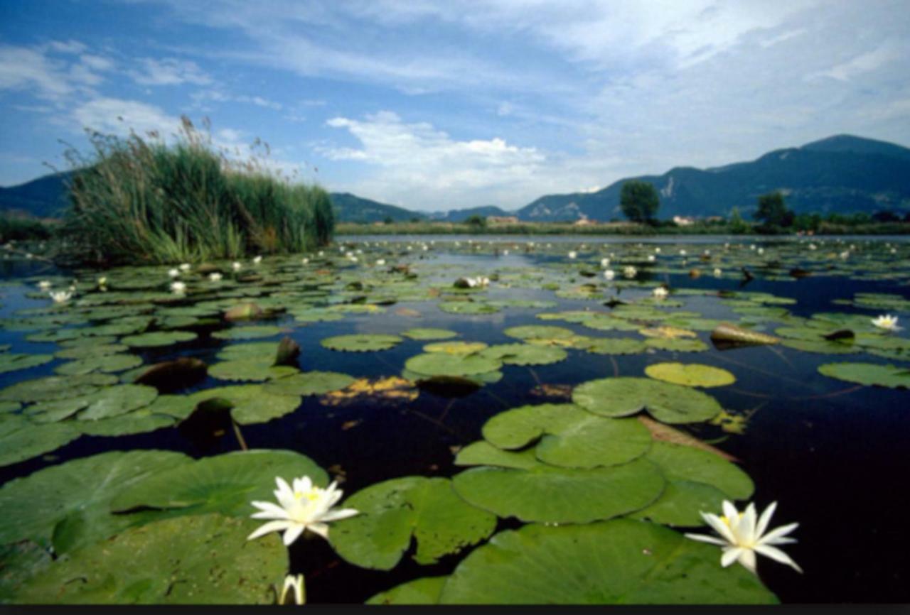 Iseo Lake Home Nature & Relax Buitenkant foto